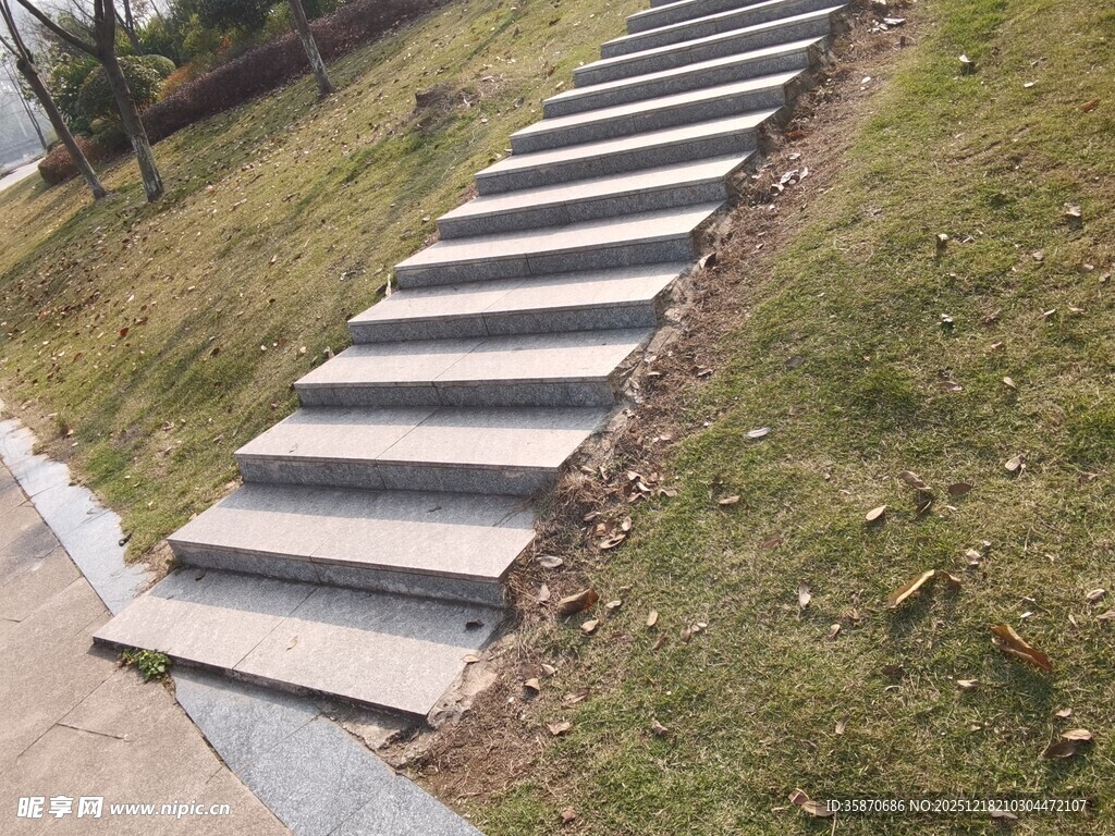 户外水泥阶梯绿意相伴