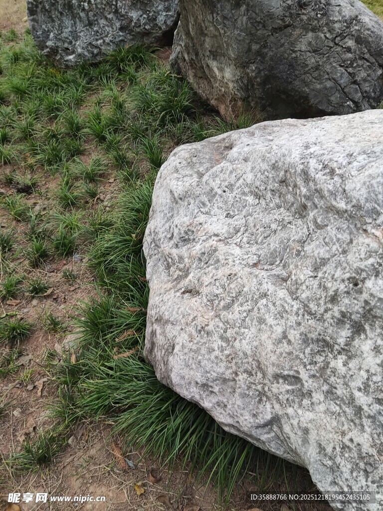 草地旁的灰色大石头