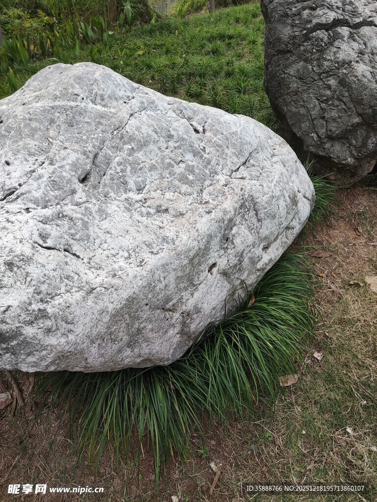 户外草地中的灰色大石头