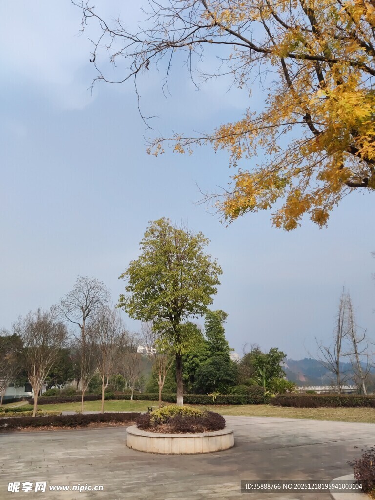 秋日公园的静谧景致