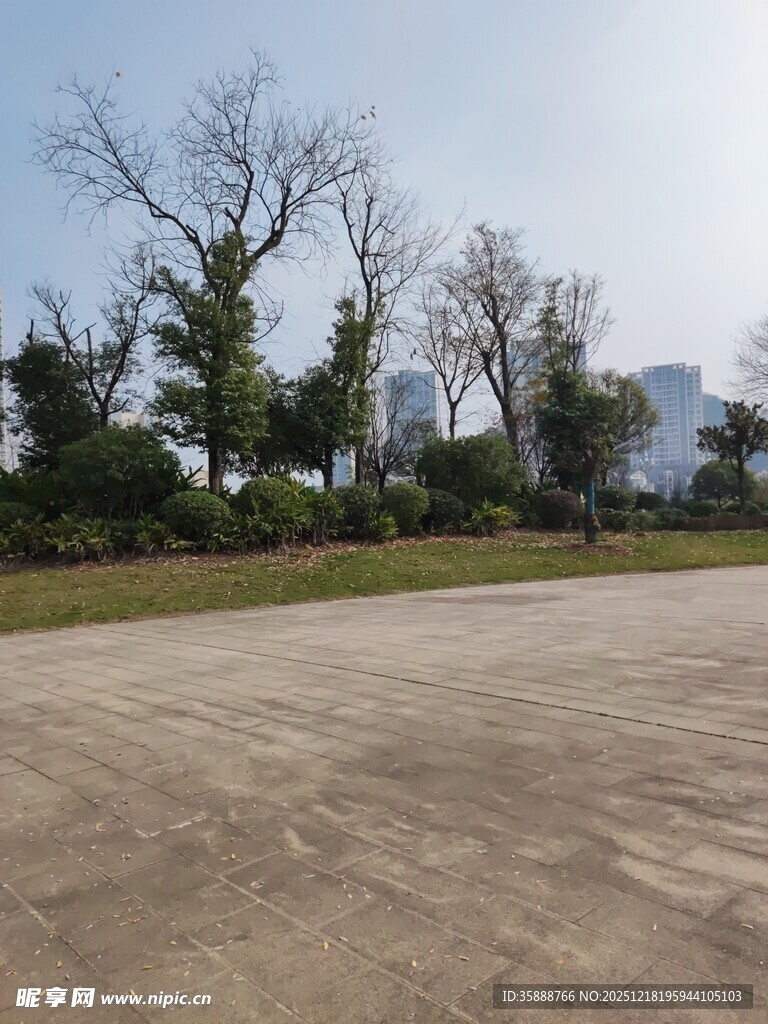 空旷户外场地与树木景观