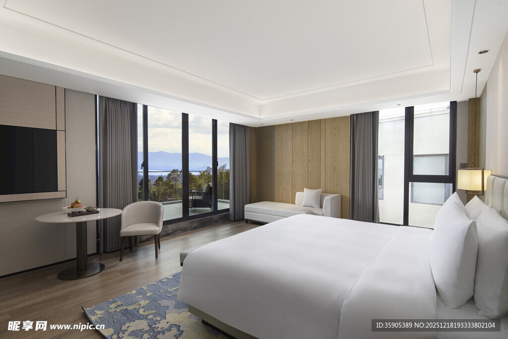 现代豪华酒店客房景观
