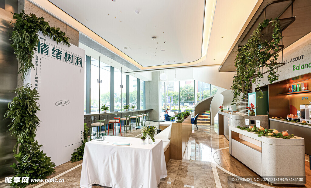 室内绿植环绕的优雅空间