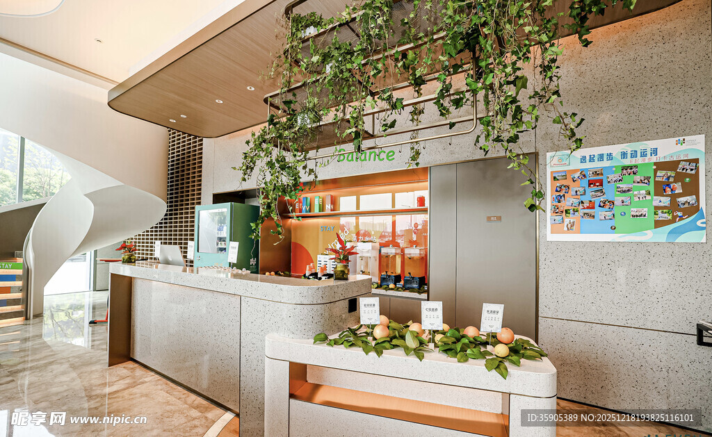 室内绿植装饰的温馨空间