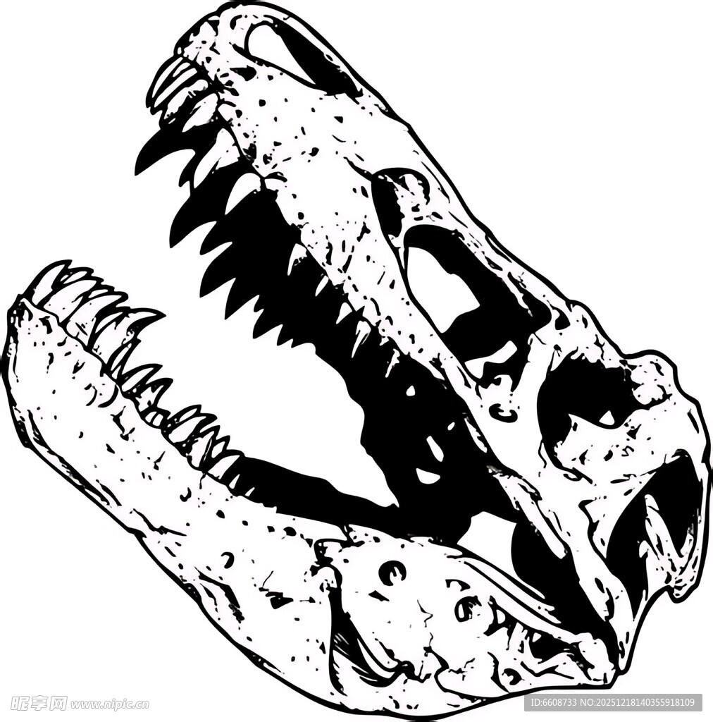 恐龙头骨黑白简笔画