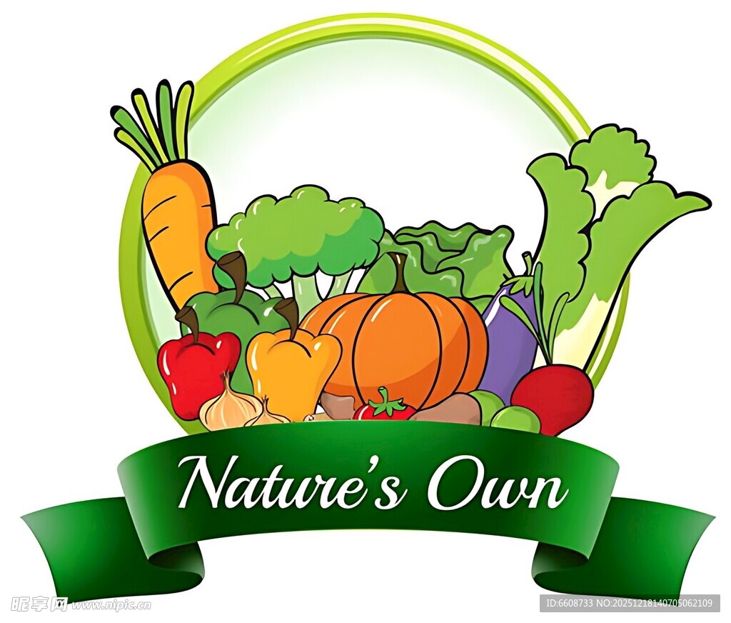 自然有机蔬菜组合