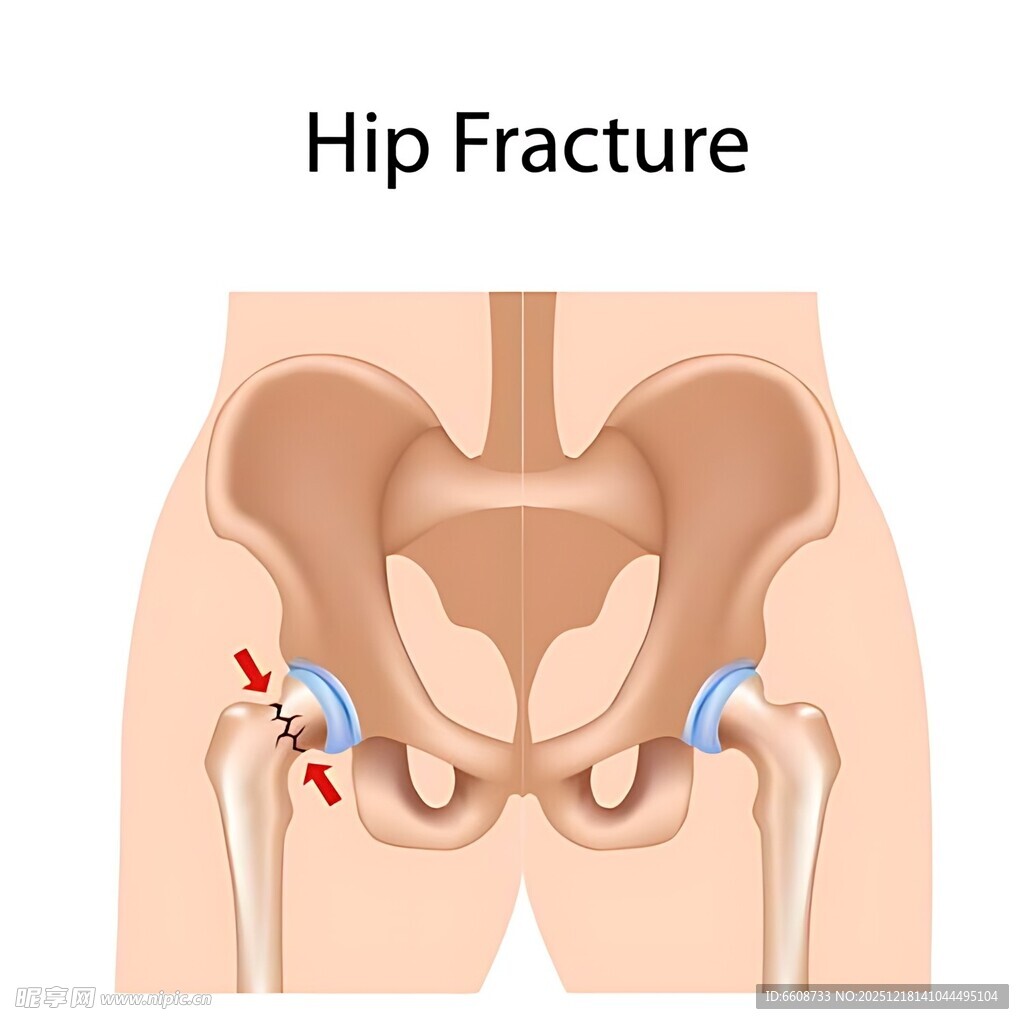眼球结构及解剖示意图