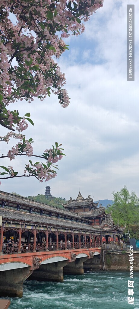 古桥春色繁花映碧水