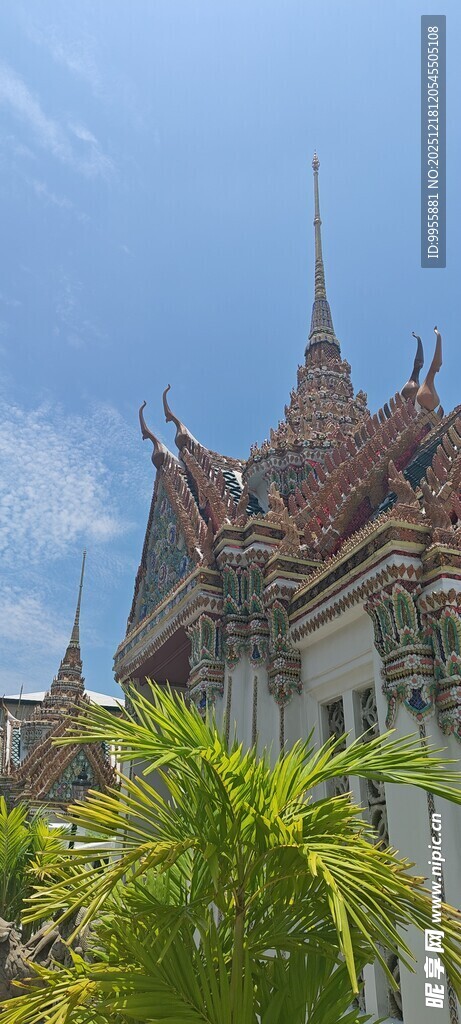 泰国曼谷泰国寺庙建筑与绿植景观