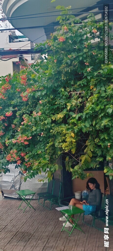 越南芽庄庭院绿植与多彩花卉点缀