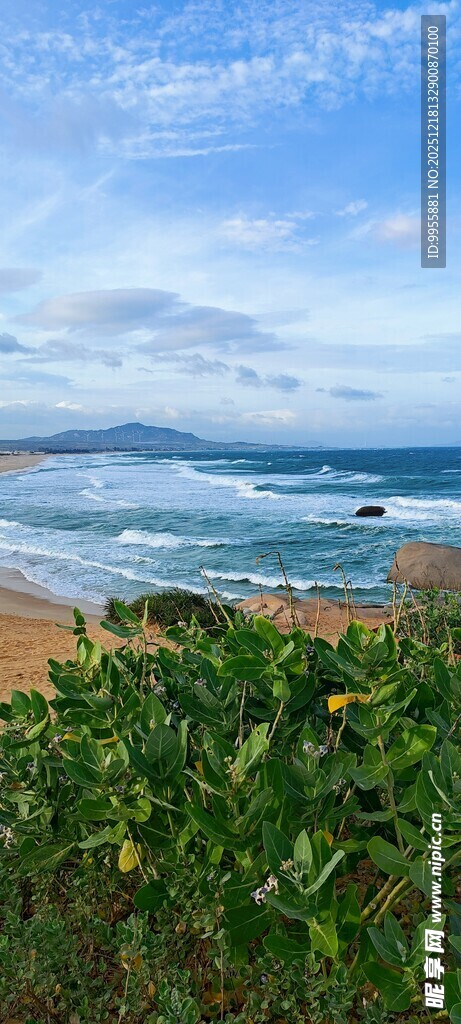 越南芽庄海边绿植与壮阔海景