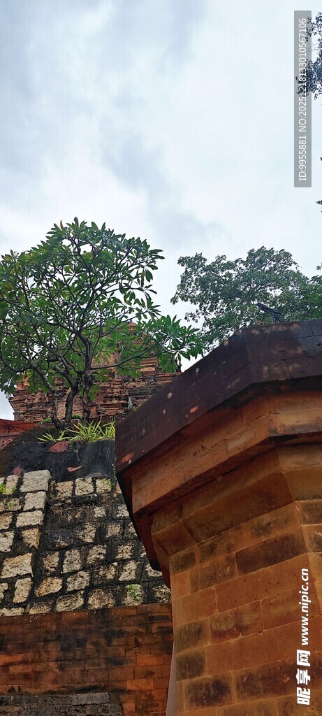 越南芽庄古老砖墙与绿植相映成趣