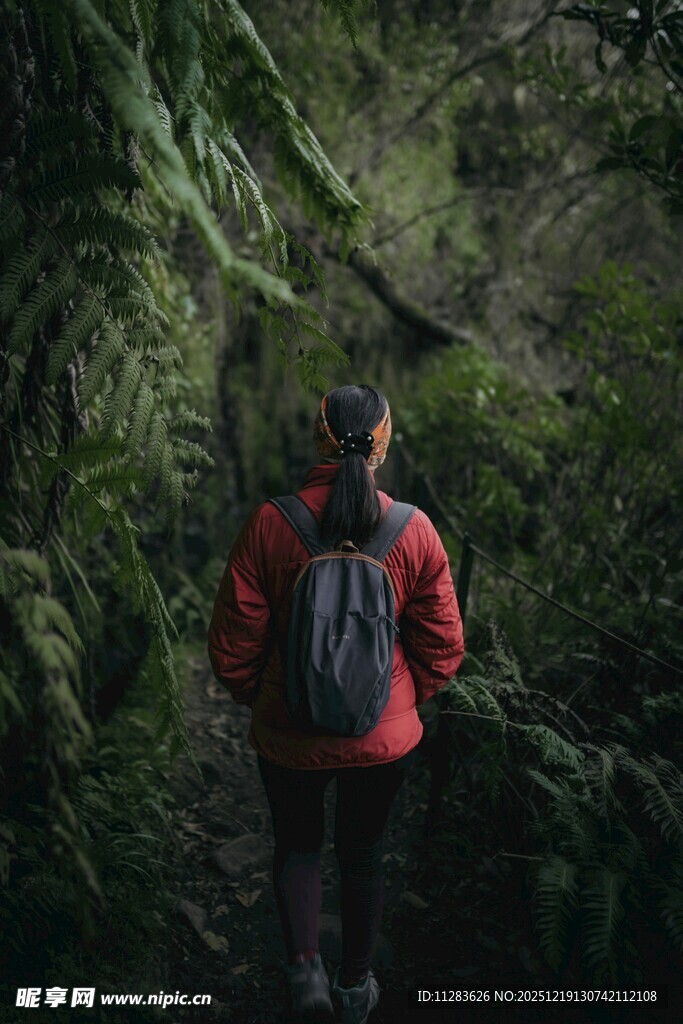 徒步者穿行于茂密山林间