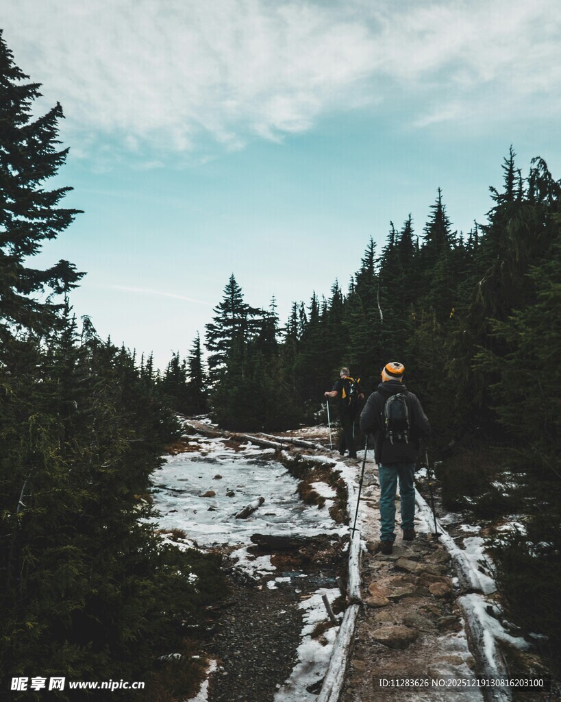 徒步者穿行于林间雪径