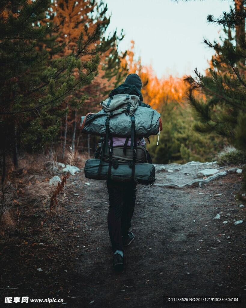 徒步者在林间小路上前行