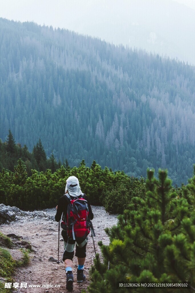 徒步者穿行于山林小道