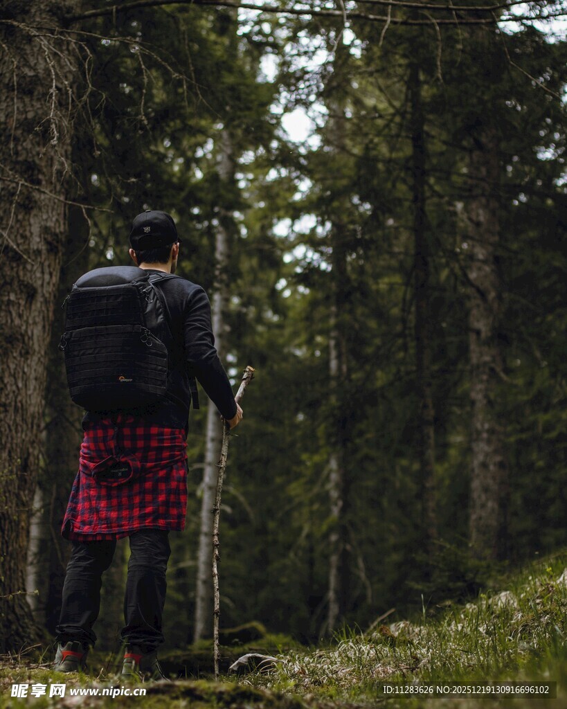 徒步者穿行于茂密森林中