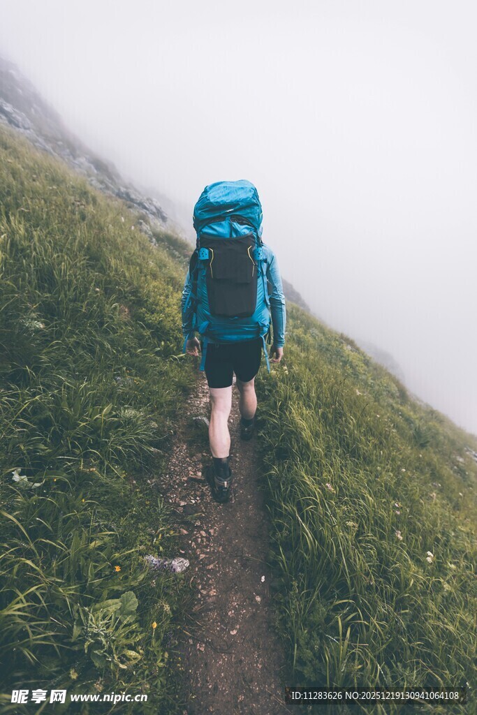 徒步者穿行于绿野小径