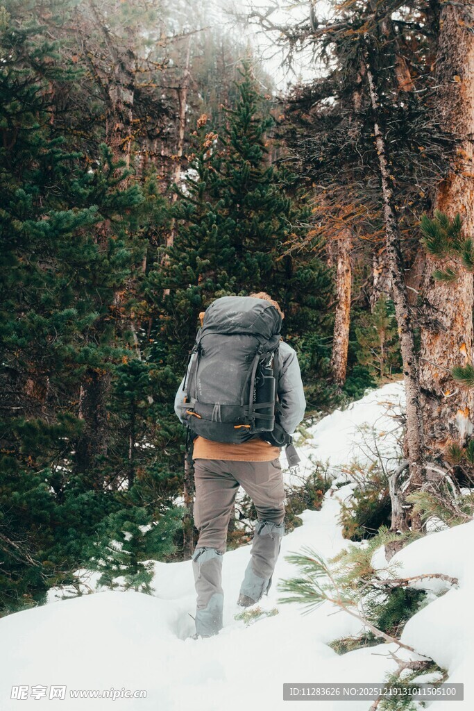 徒步者在雪林小道前行