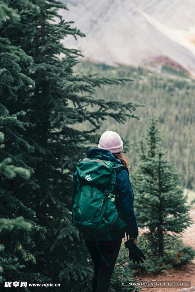 徒步者穿行于茂密山林间