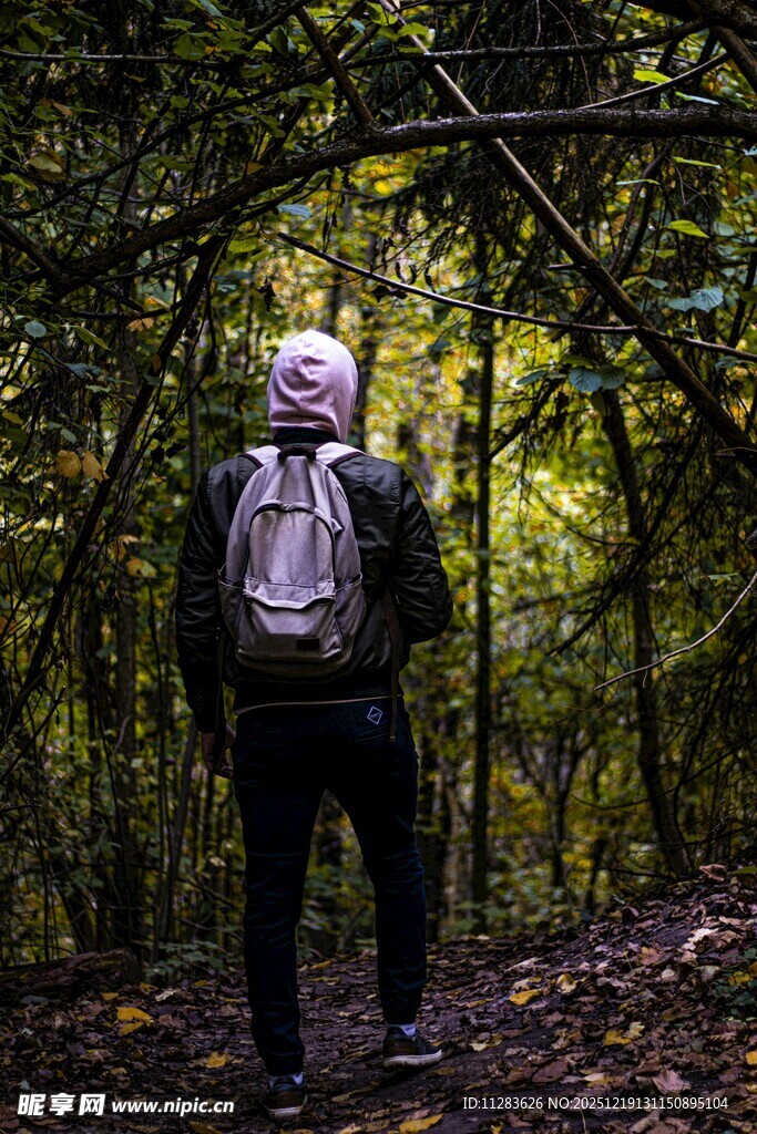 徒步者穿行于茂密树林间