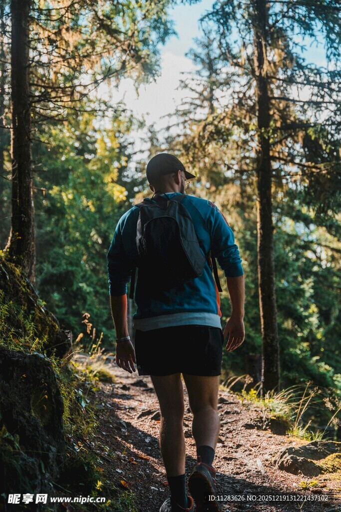 徒步者穿行于茂密森林间