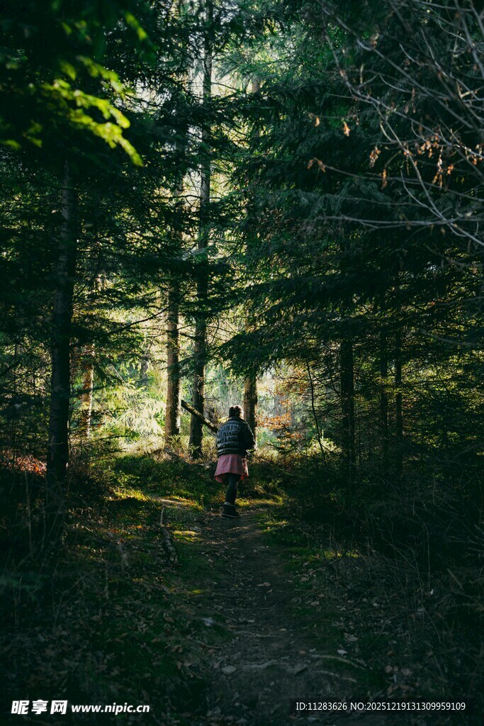林间徒步者