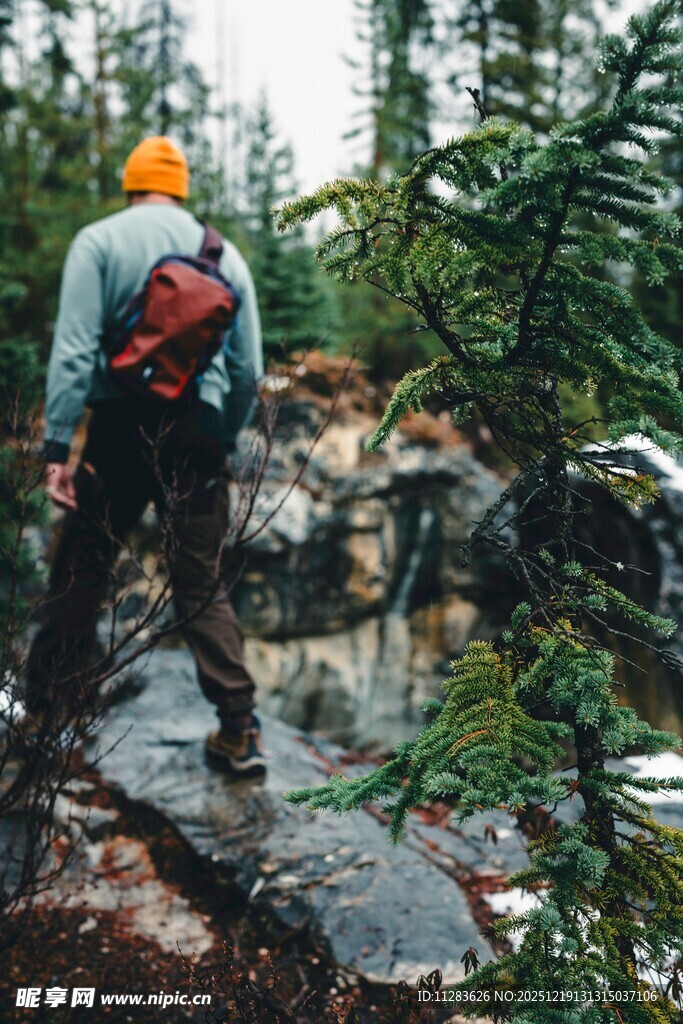 徒步者穿行于林间溪流