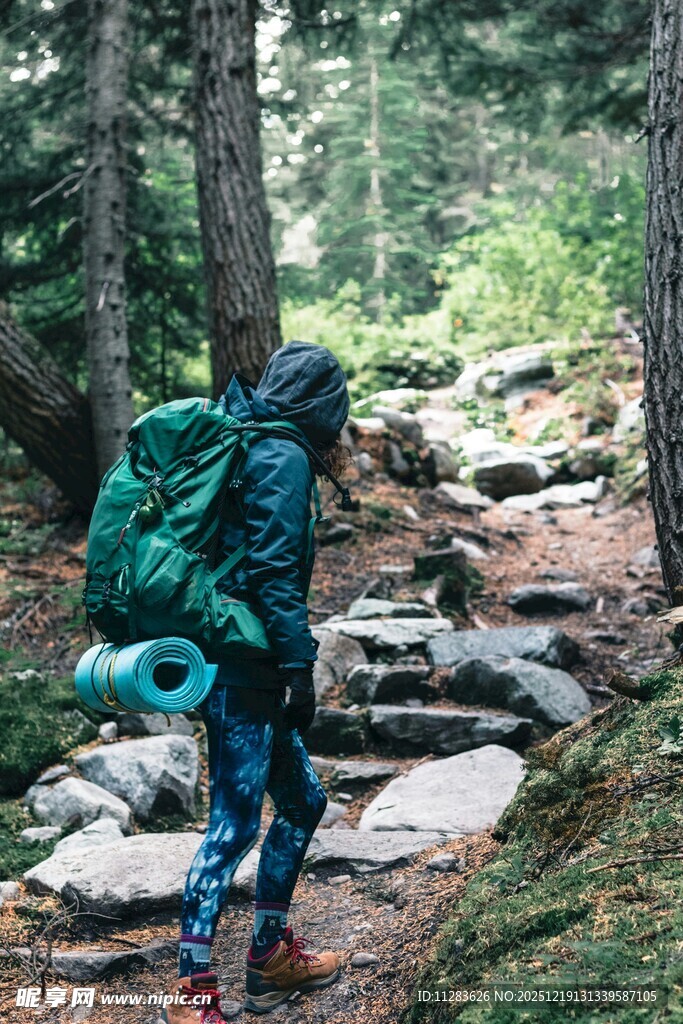 徒步者穿行于林间石径