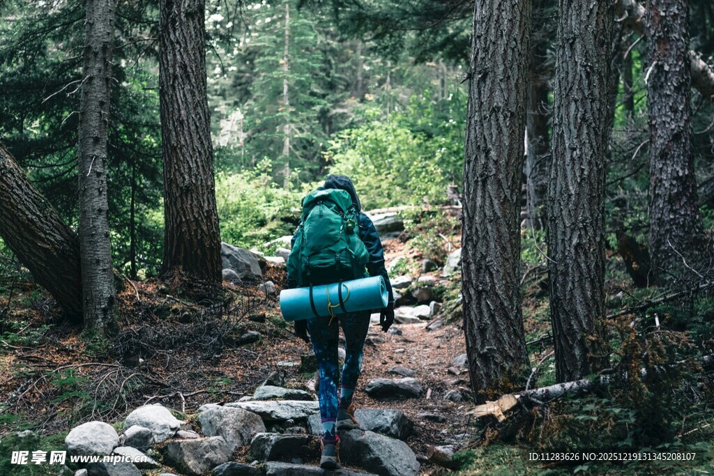 徒步者穿行于林间小道