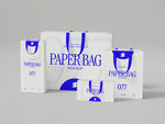 蓝白纸质手提袋展示