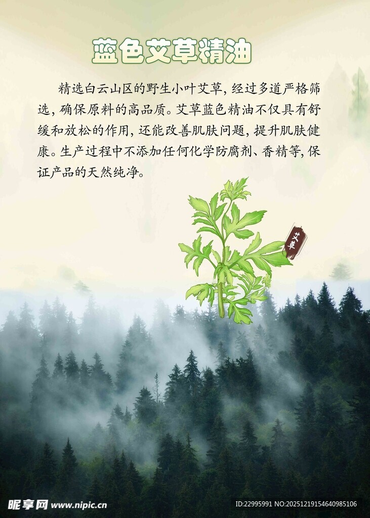 山林间的自然绿意生机