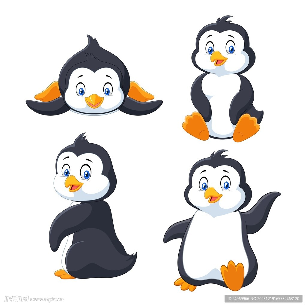 可爱企鹅四连拍
