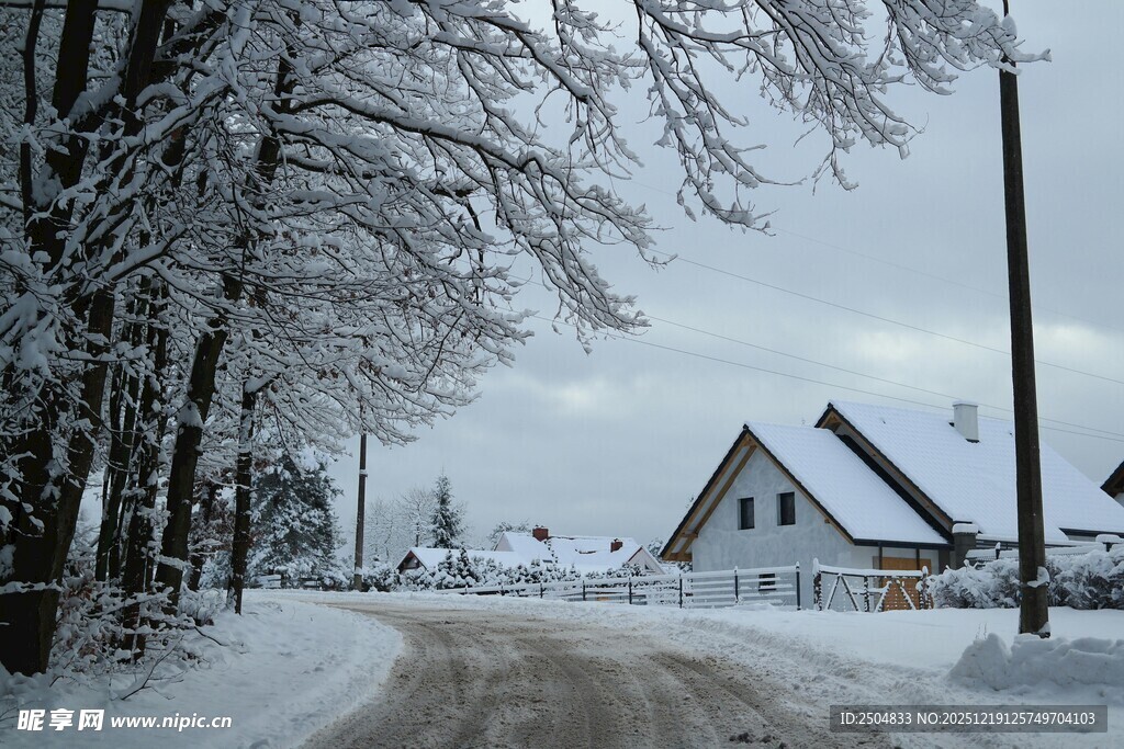 冬日雪覆村庄静谧景象