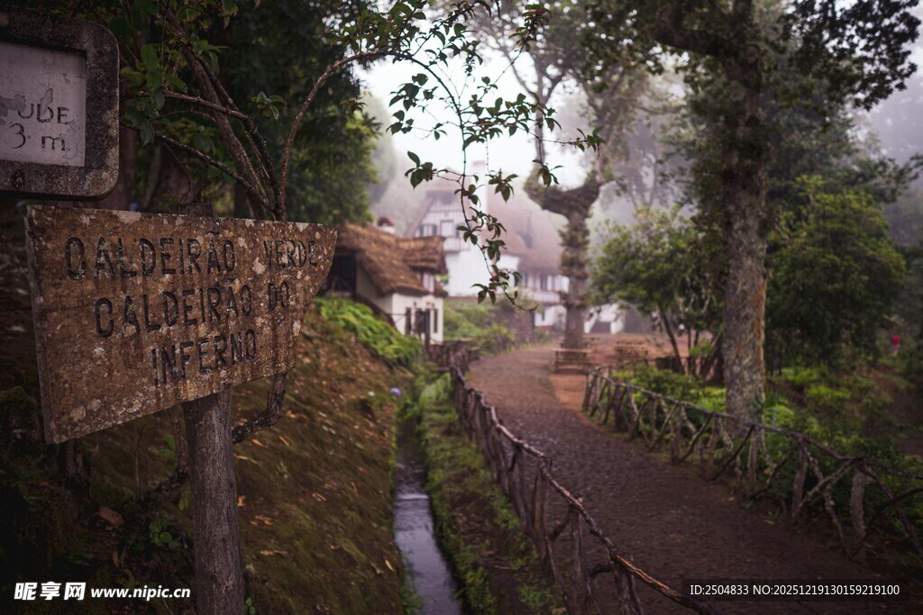 林间小径 自然静谧之景