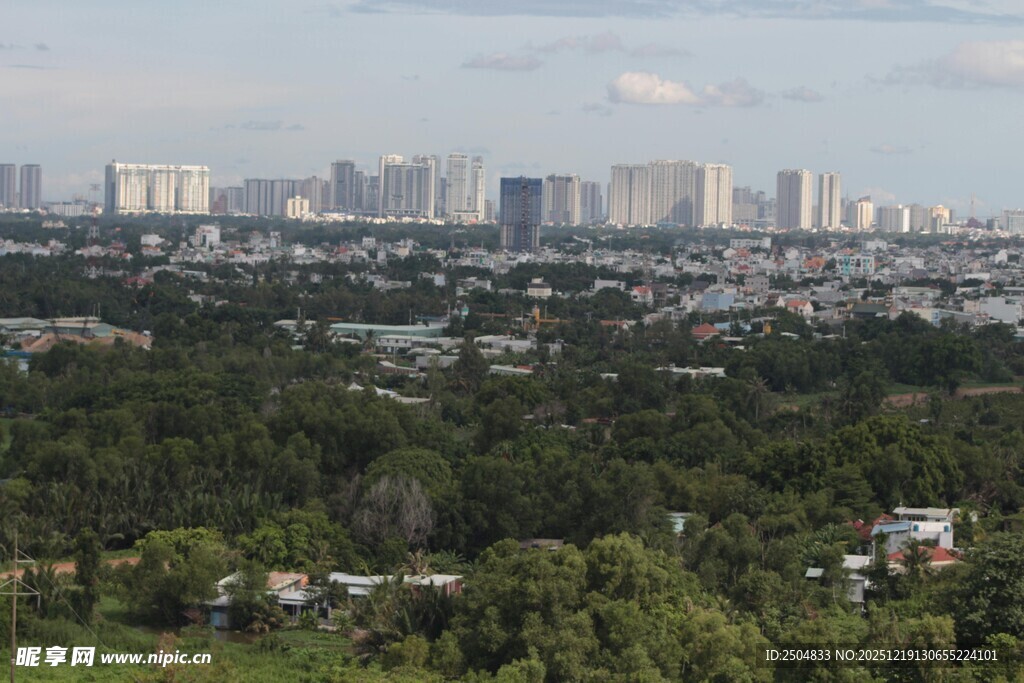 城市远景与绿树景观