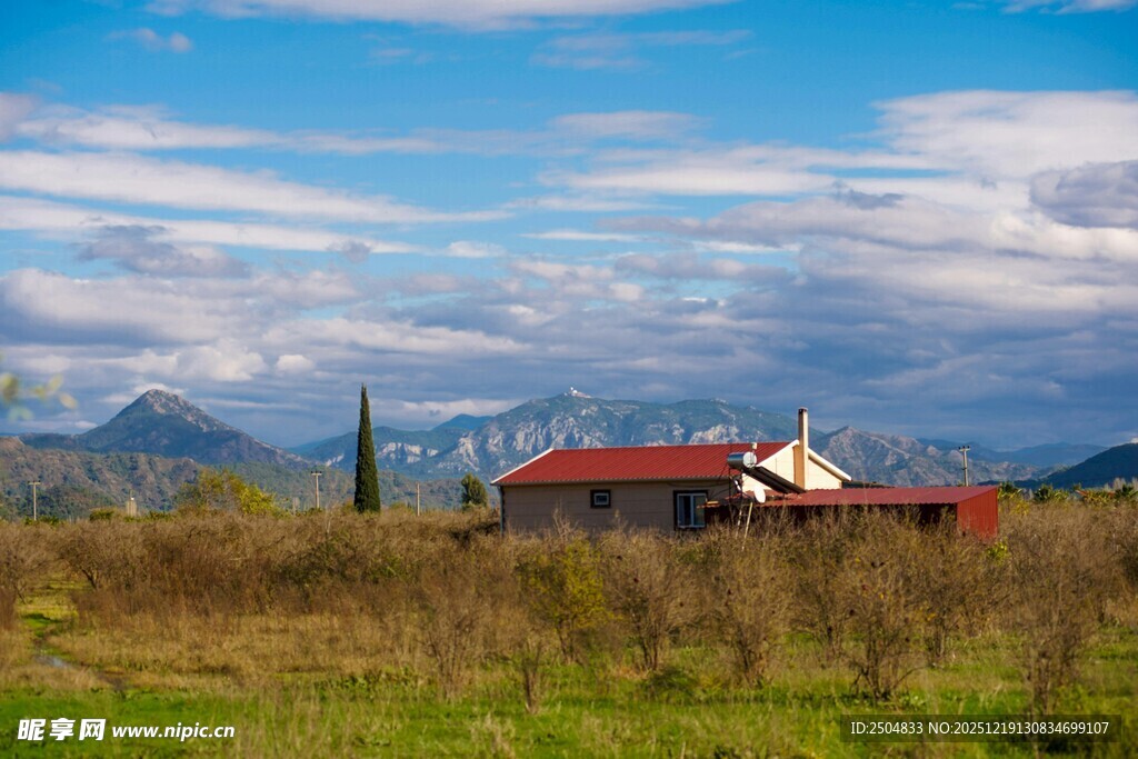乡村田园风光中的红顶屋