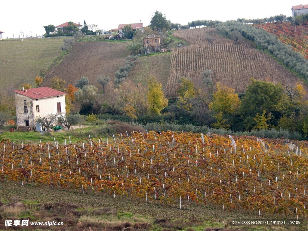 乡村田园风光中的小屋