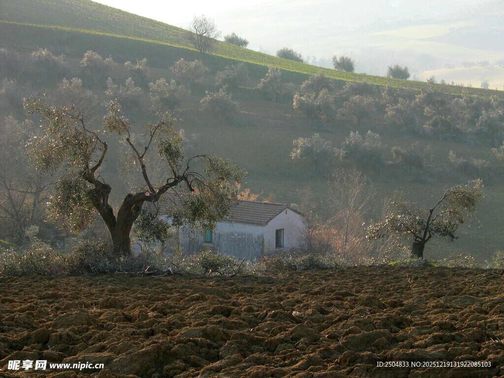 乡村田野中的静谧小屋