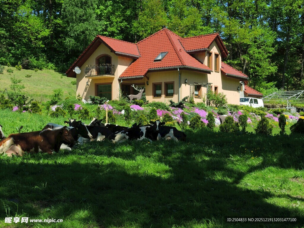 田园小屋旁的悠闲羊群