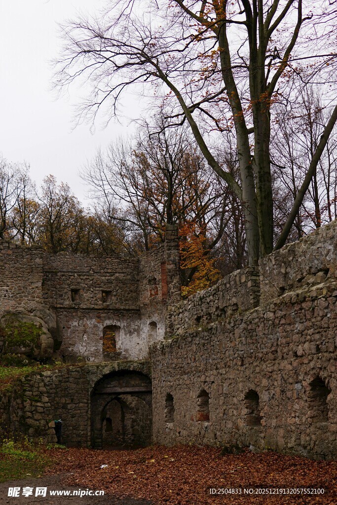 古老废墟旁的萧瑟树木