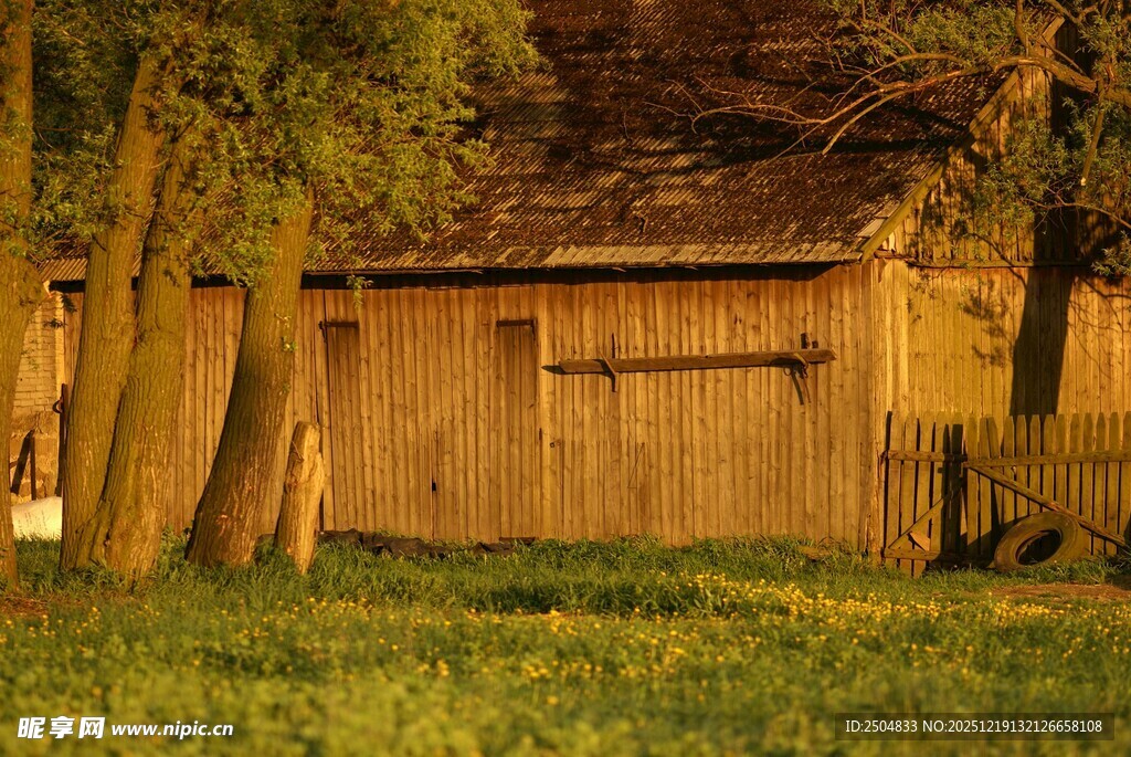 乡村木屋旁的宁静景致