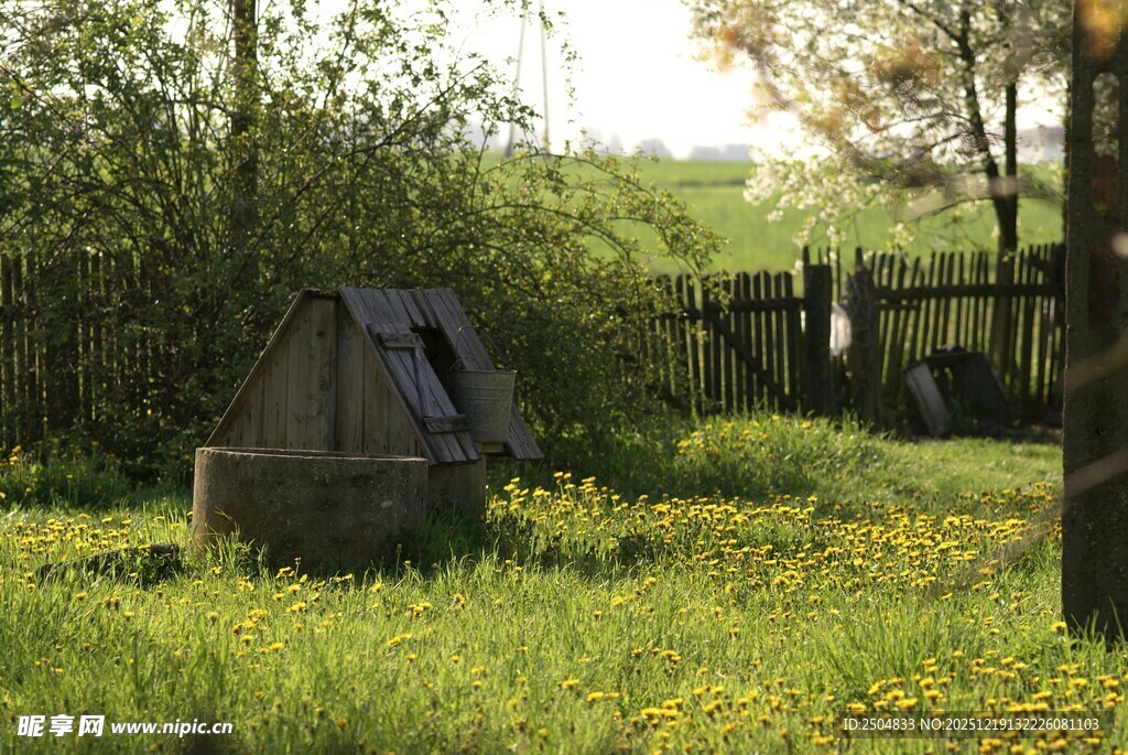 林间小屋 静享自然之美