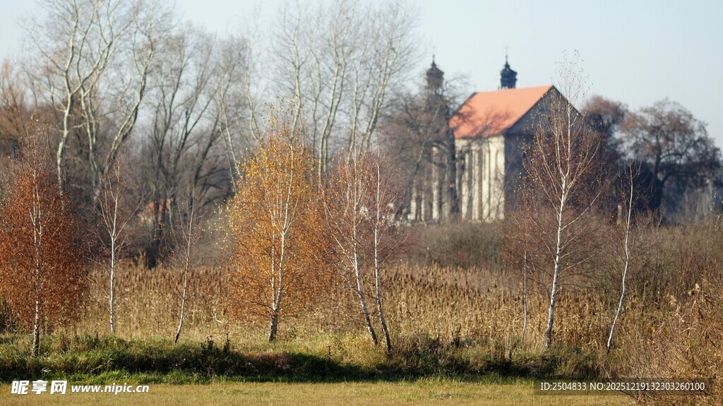 乡村田野中的红顶小屋