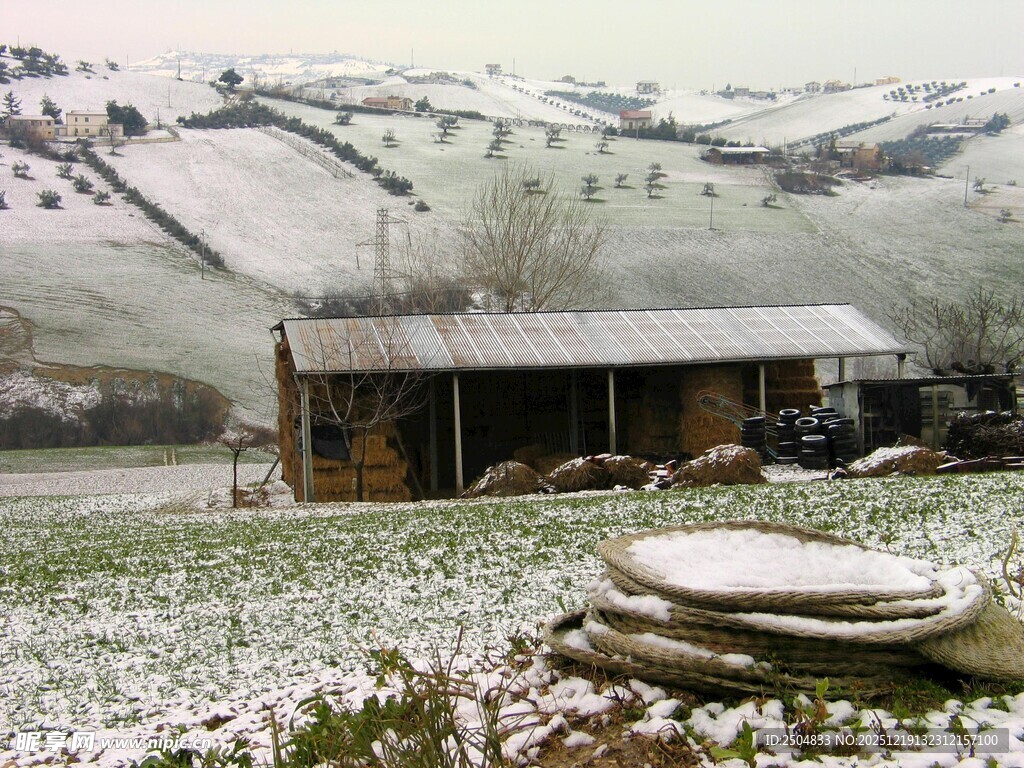 雪覆乡村小屋的静谧景致