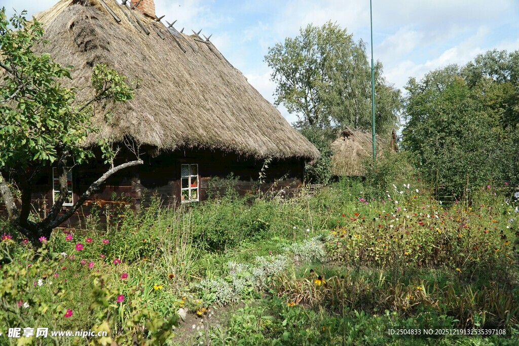 乡村茅草屋 自然田园景