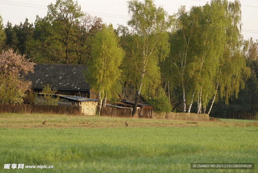 乡村田野间的静谧小屋