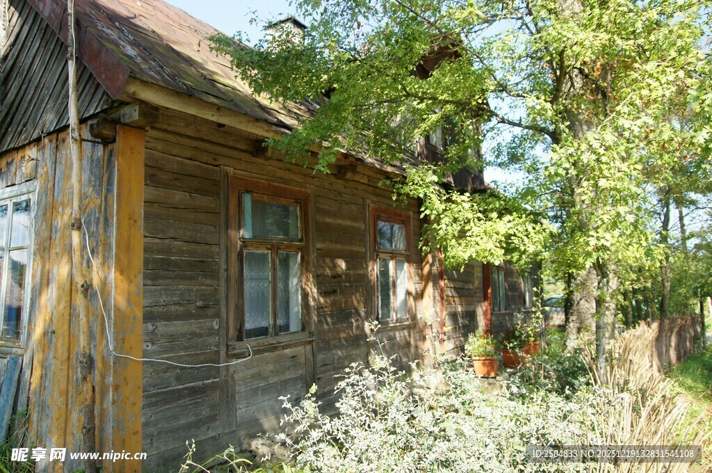 乡村木屋旁的绿意景致