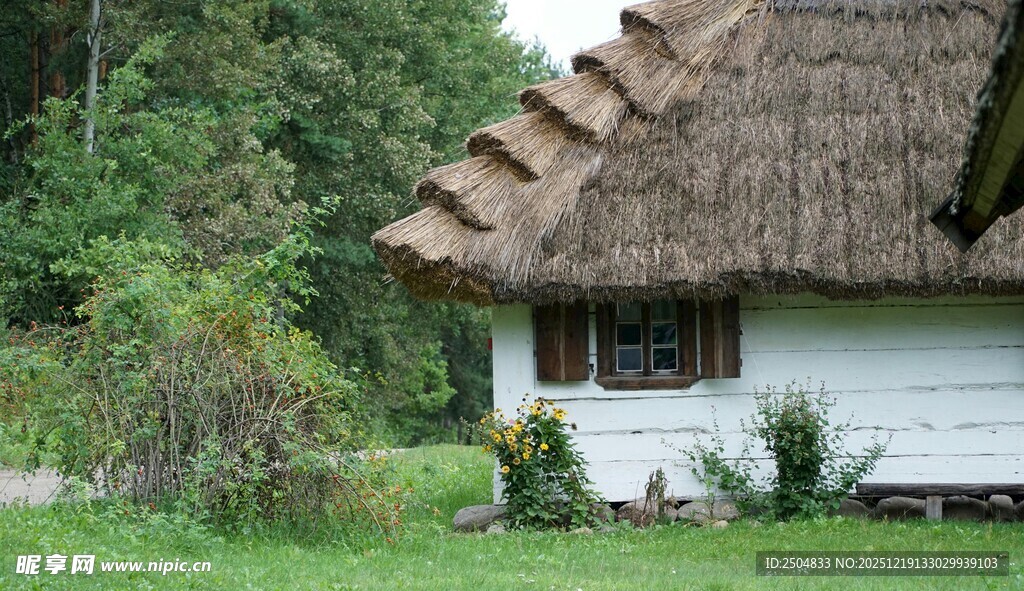 乡村茅草屋 静谧田园景