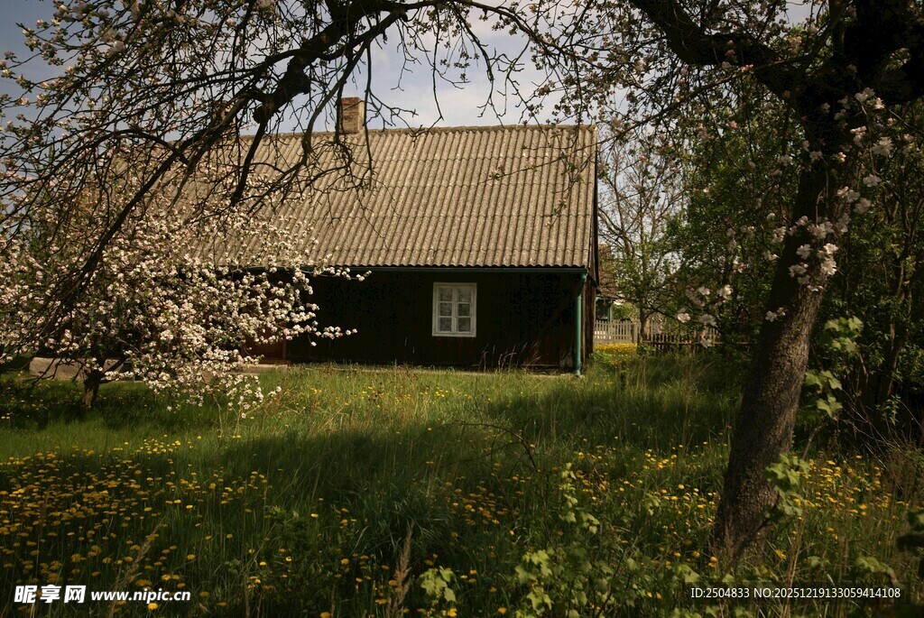 乡村小屋 静谧自然之景